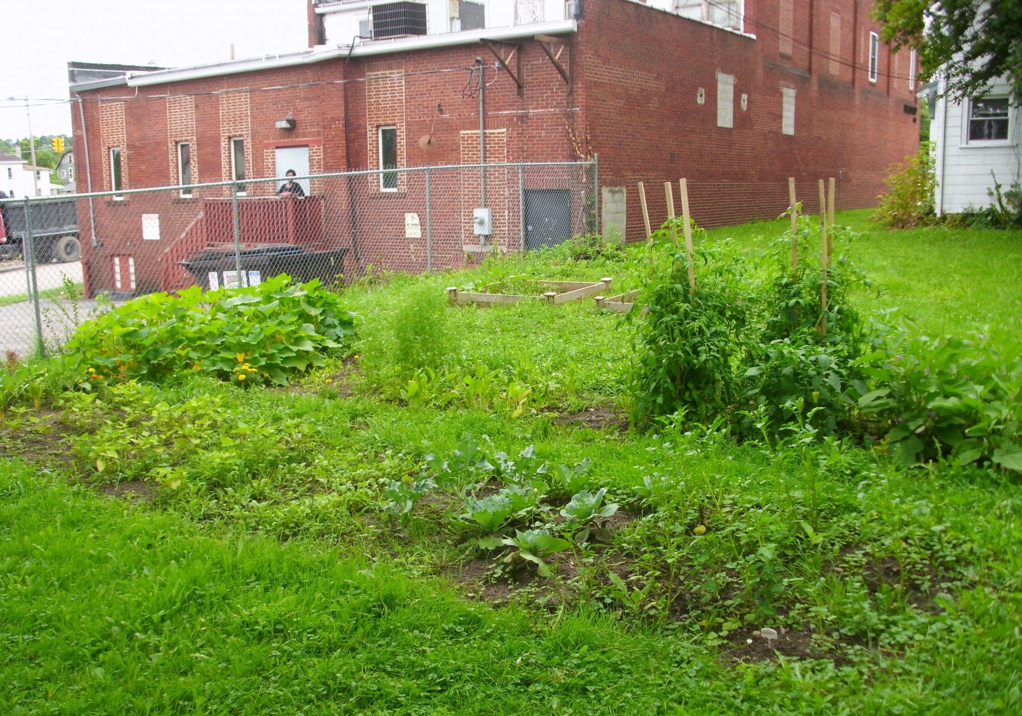 Community Gardens Necic