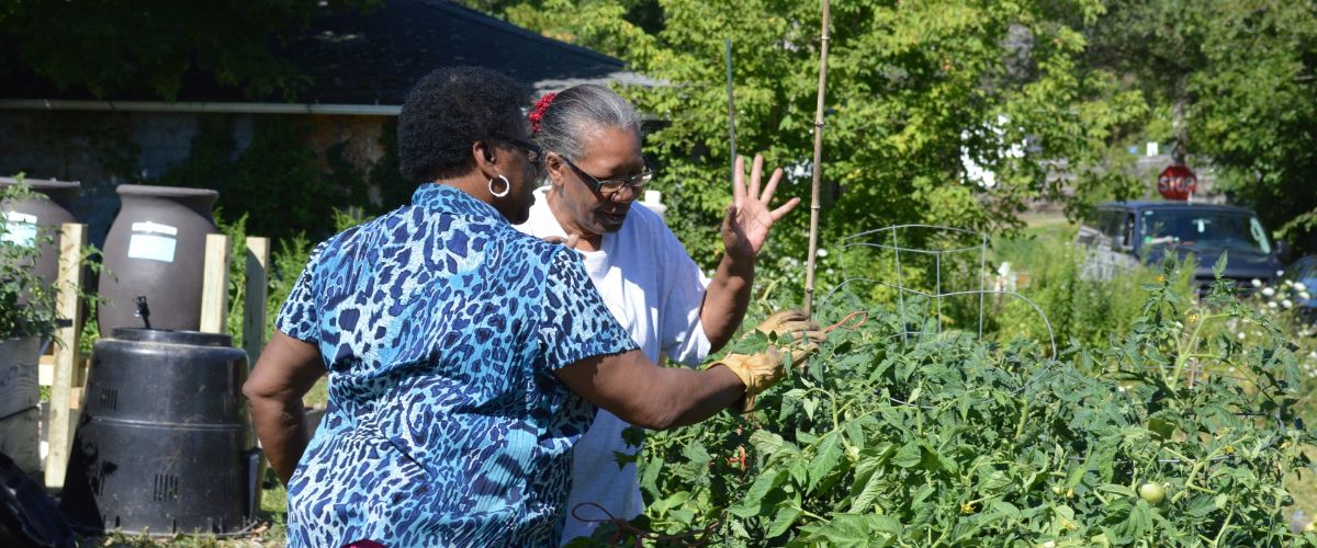 community garden