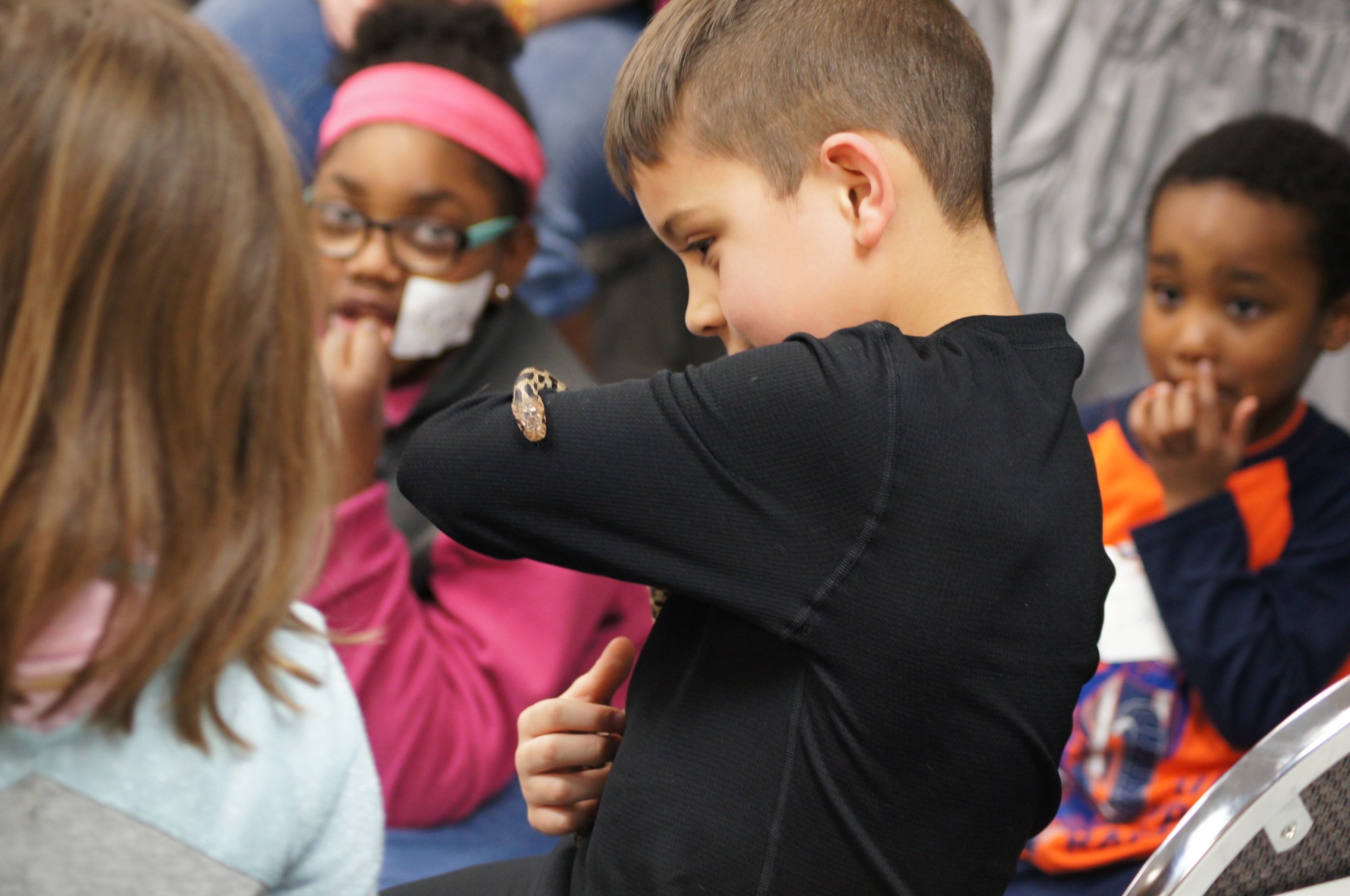 necic, youth, raising richland, mansfield