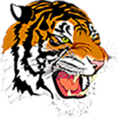 mansfield city schools, tyger pride