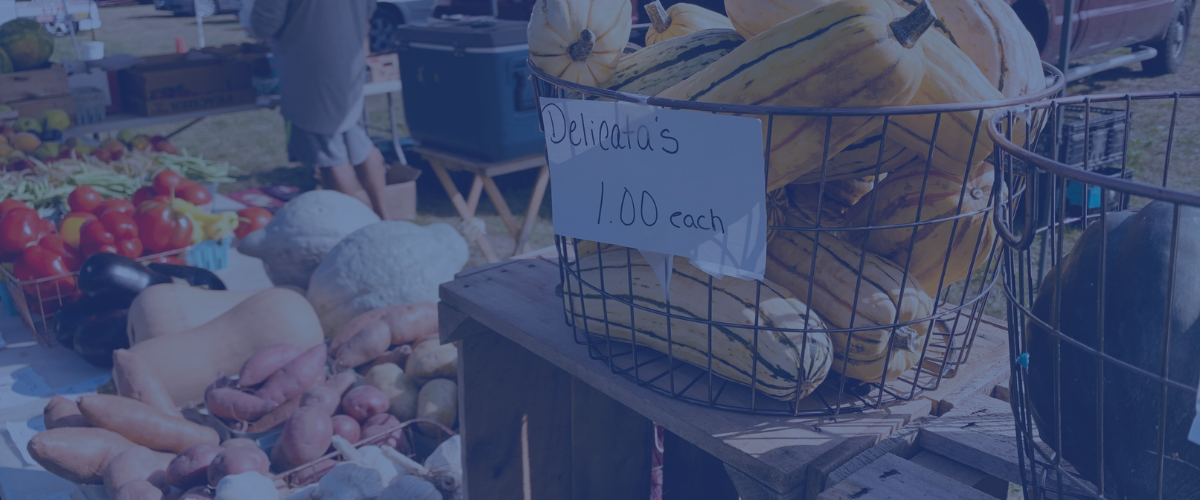 The North End Farmers Market is Back!